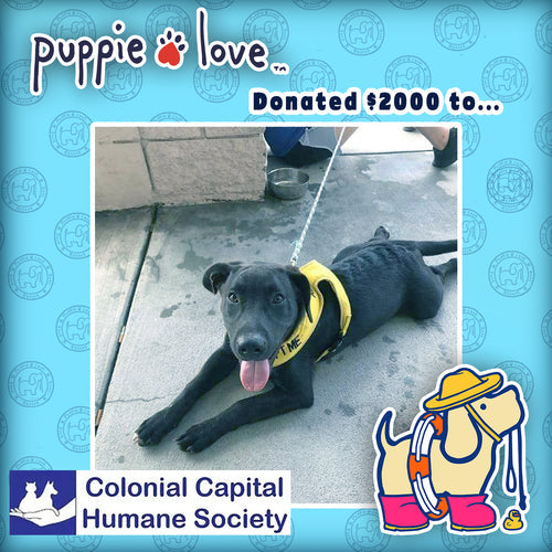 “Hurricane Florence Pup” proceeds donated to Colonial Capital Humane Society in New Bern, NC!