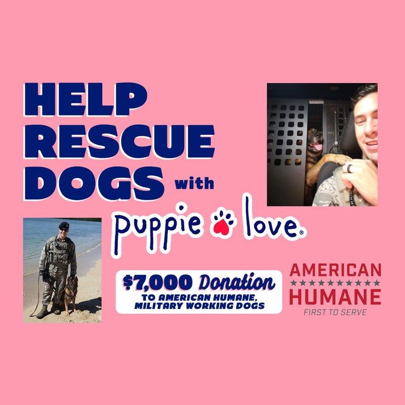 Puppie Love brings Military Working Dogs Home for the Holidays!