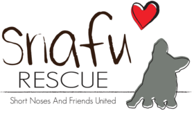PUPPIE LOVE & SNAFU RESCUE!