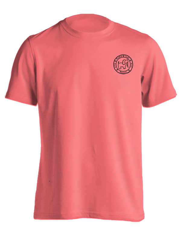 DOROTHY AND TOTO PUP