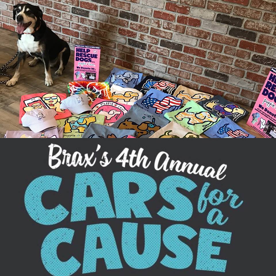 Brax's 4th Annual Cars for a Cause benefiting Anderson County Paws in SC!