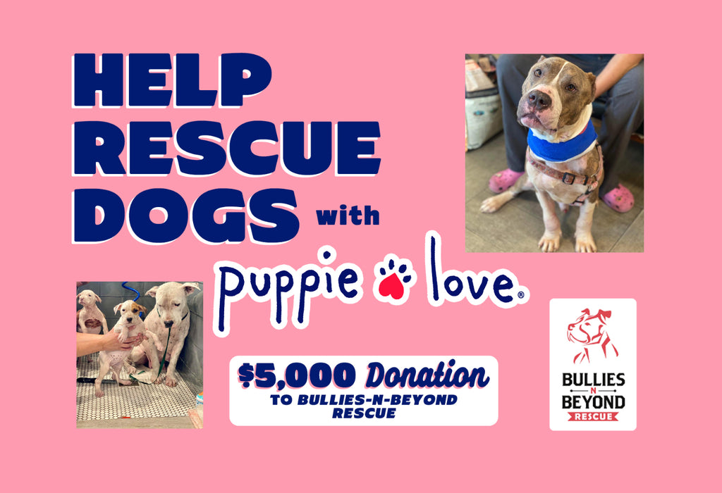 Puppie Love Donates $5,000 to Bullies-N-Beyond Rescue