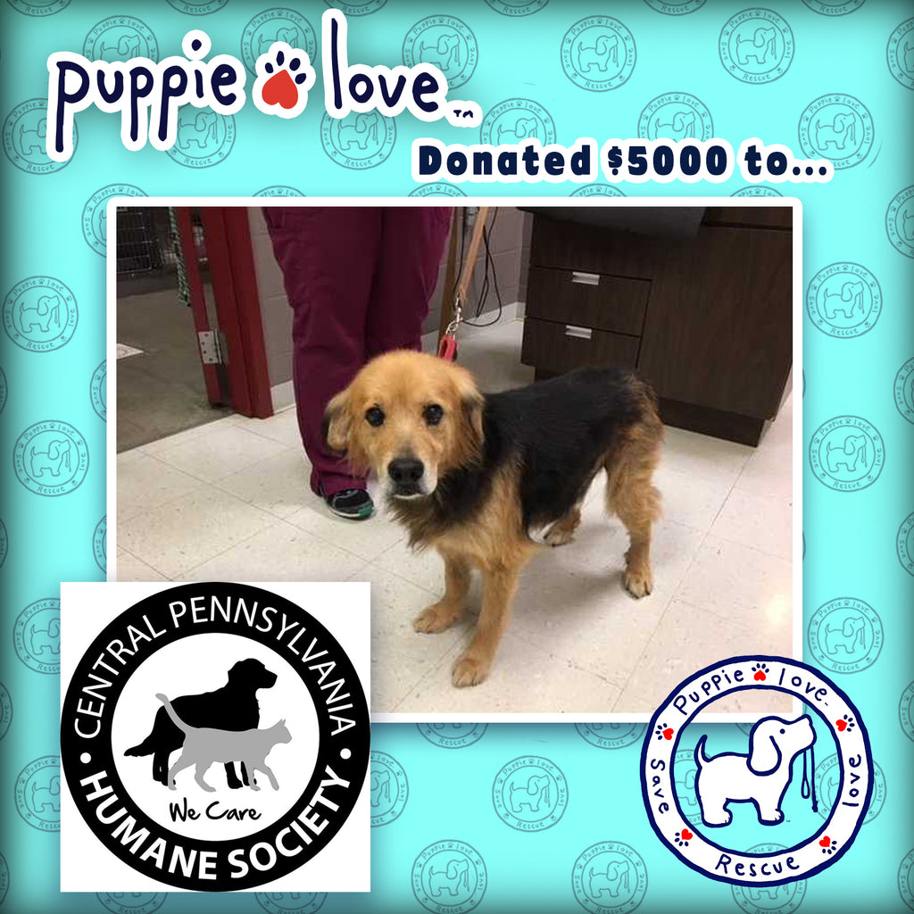 PUPPIE LOVE partners with the Central PA Humane Society