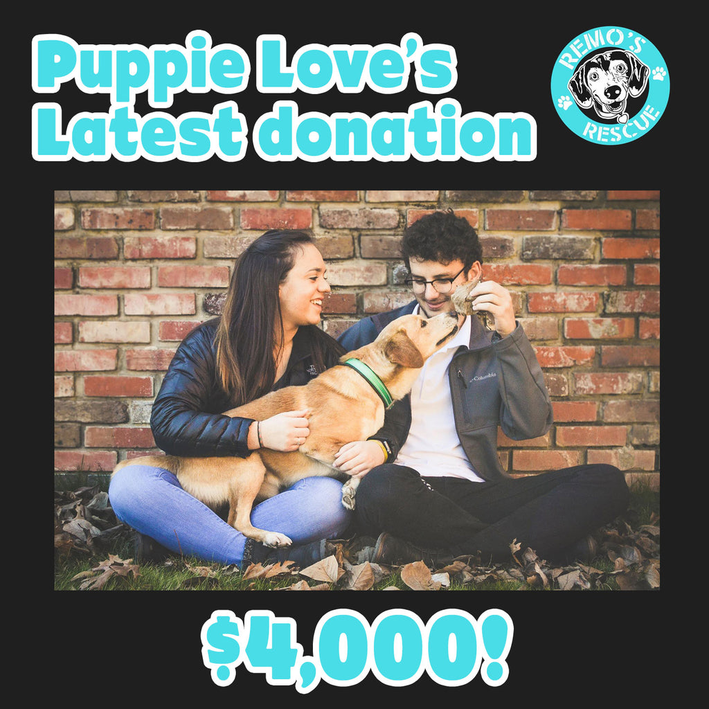Spreadin’ the Puppie Love to Remo’s Rescue in Mississippi!