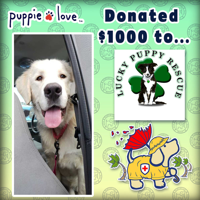 Puppie Love  Helps The Lucky Puppy Rescue Rebuild from Hurricane Michael