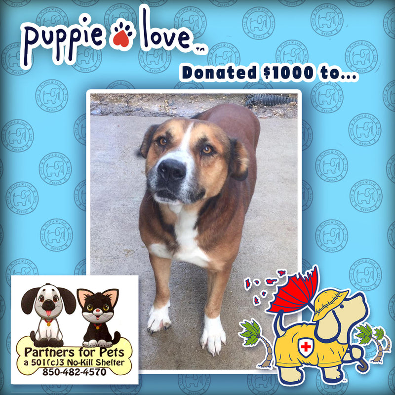 Puppie Love  Helps Dogs Displaced by Hurricane Michael by donating to Partners for Pets!