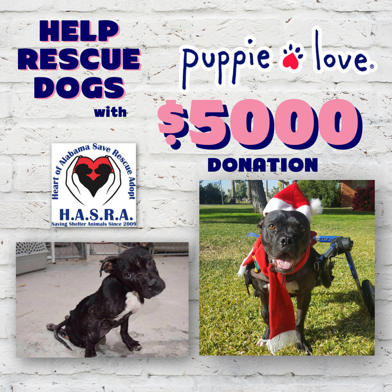 Puppie Love donates to HASRA (Heart of Alabama: Save, Rescue, Adopt)