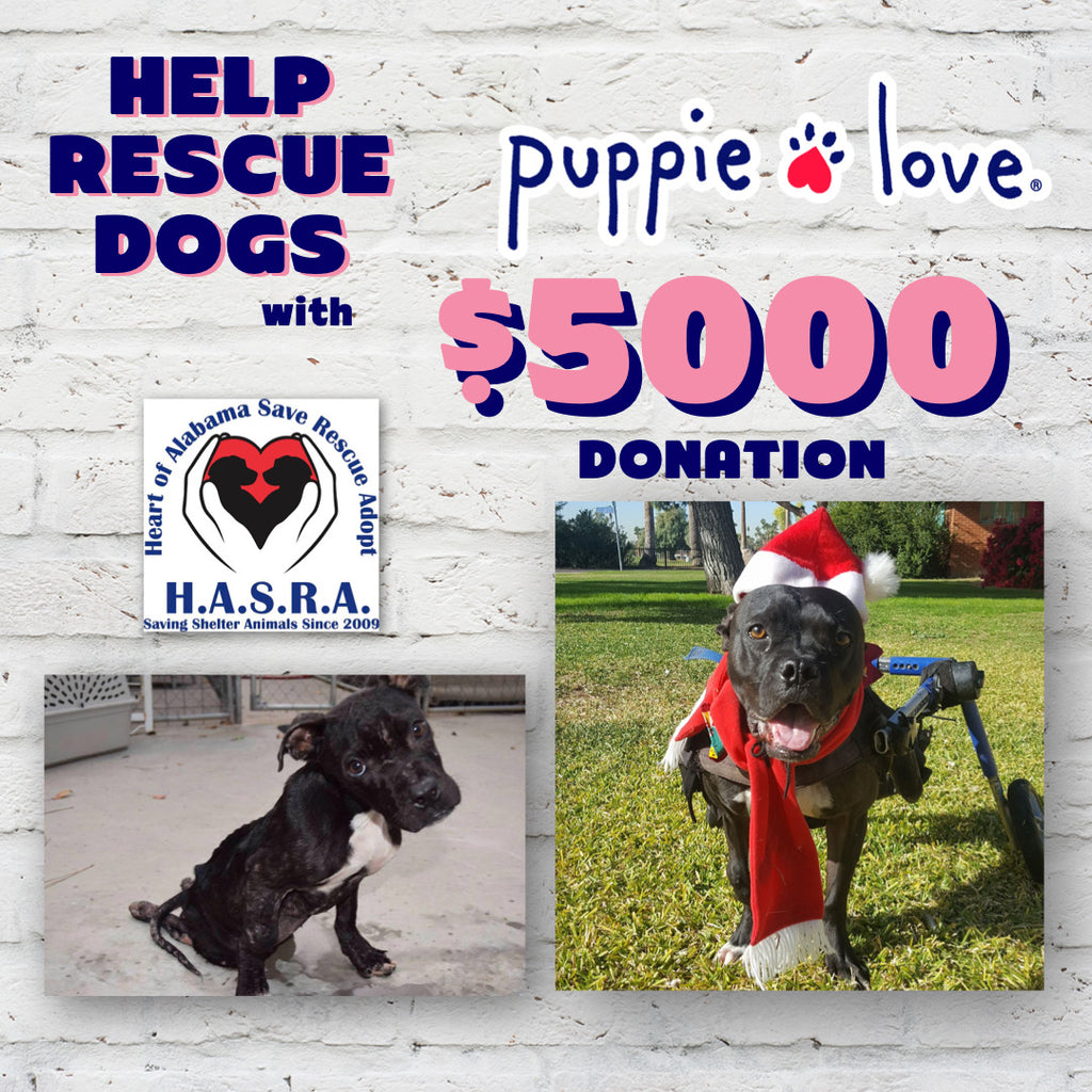 Puppie Love donates to HASRA (Heart of Alabama: Save, Rescue, Adopt)