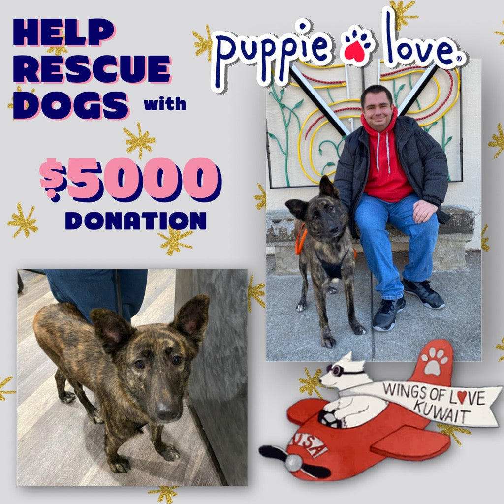 Puppie Love Donates to Wings of Love, Kuwait