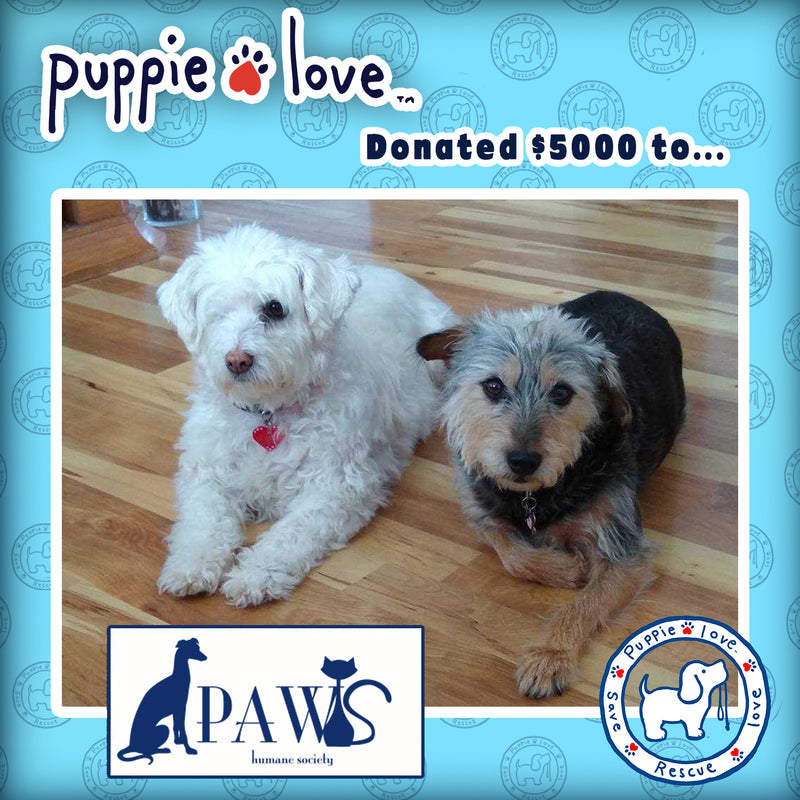 PUPPIE LOVE HELPS PUPS IN WINTER VORTEX