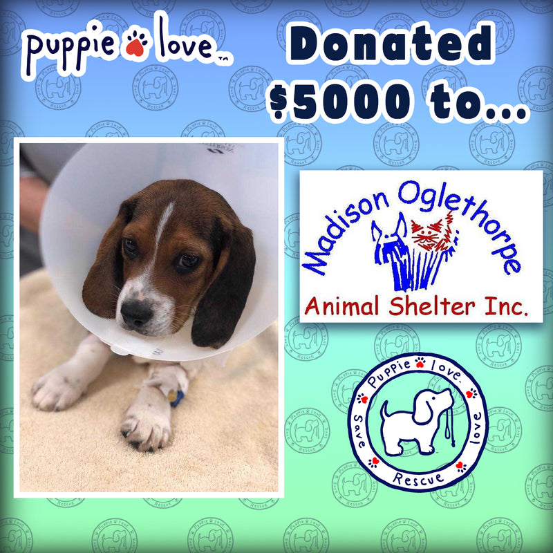 PUPPIE LOVE partners with the Madison Oglethorpe Animal Shelter