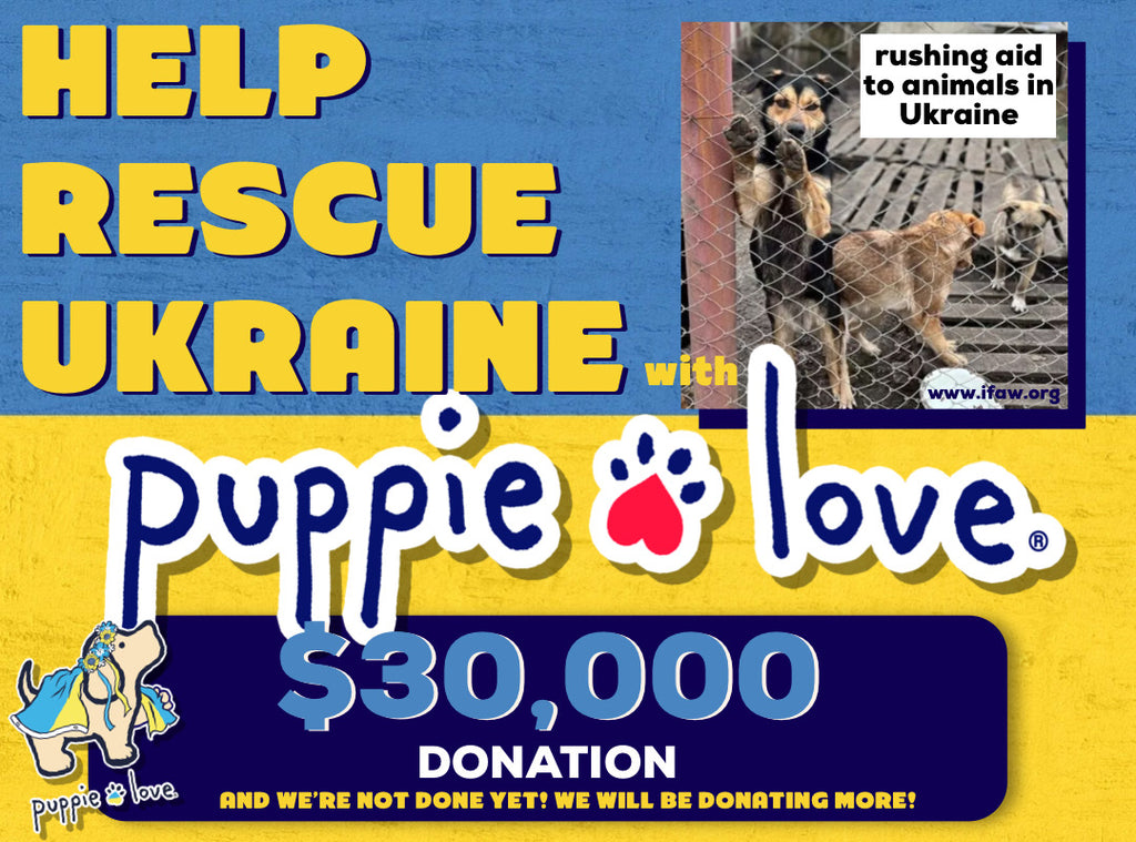 Puppie Love donates $30,000 to IFAW to support animals in Ukraine