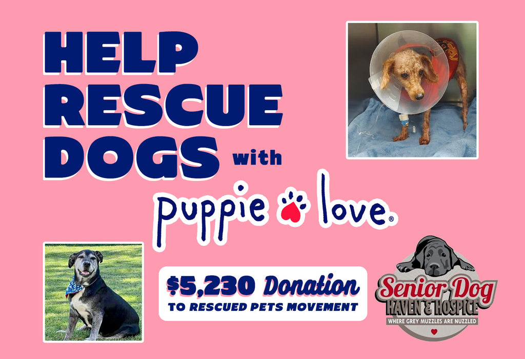 Puppie Love donates $5,230 to Senior Dog Haven & Hospice!