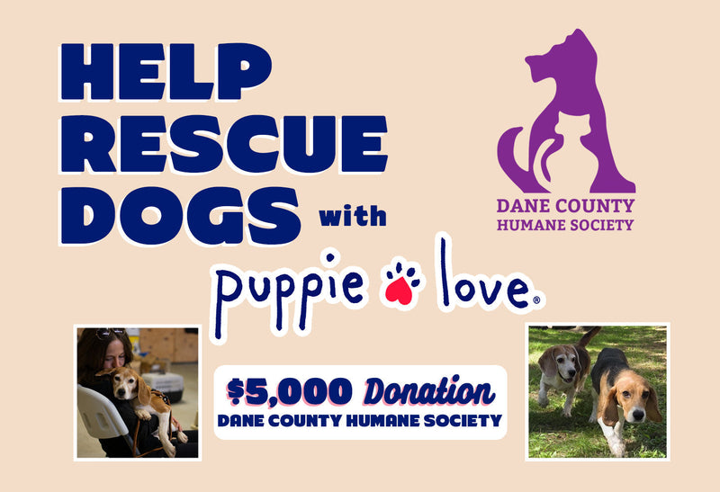 Puppie Love Donates $5,000 to Dane County Humane Society!