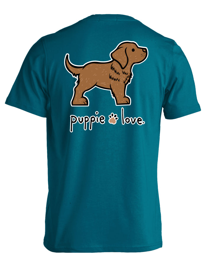 CHESAPEAKE BAY RETRIEVER PUP
