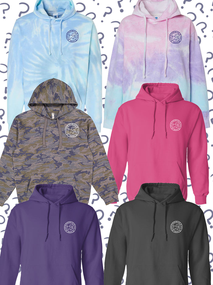 MYSTERY OUTLINE HOODIE