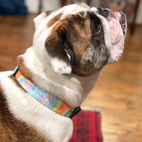 DOG COLLAR, AERIAL - Puppie Love