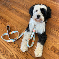 DOG LEASH, AERIAL - Puppie Love