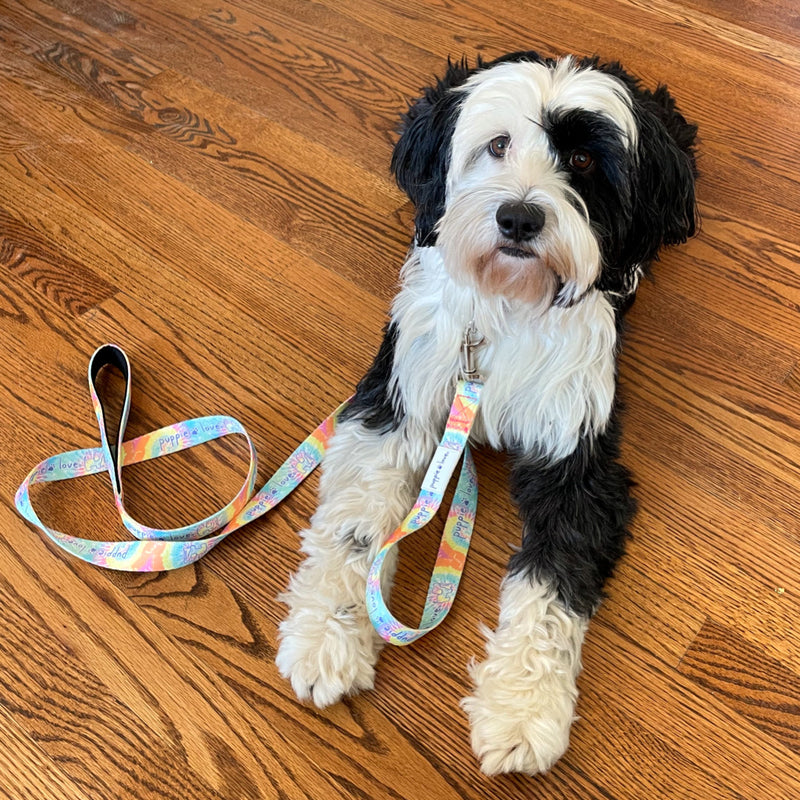 DOG LEASH, AERIAL - Puppie Love
