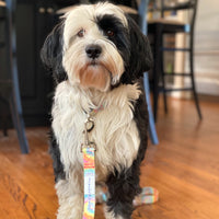 DOG LEASH, AERIAL - Puppie Love