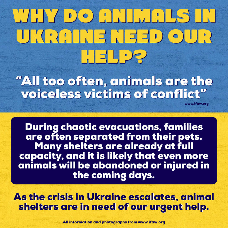 UKRAINIAN SUPPORT PUP - Puppie Love