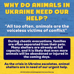 UKRAINIAN SUPPORT PUP - Puppie Love