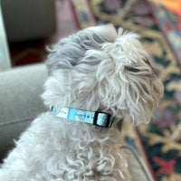 DOG COLLAR, WILDFLOWER - Puppie Love